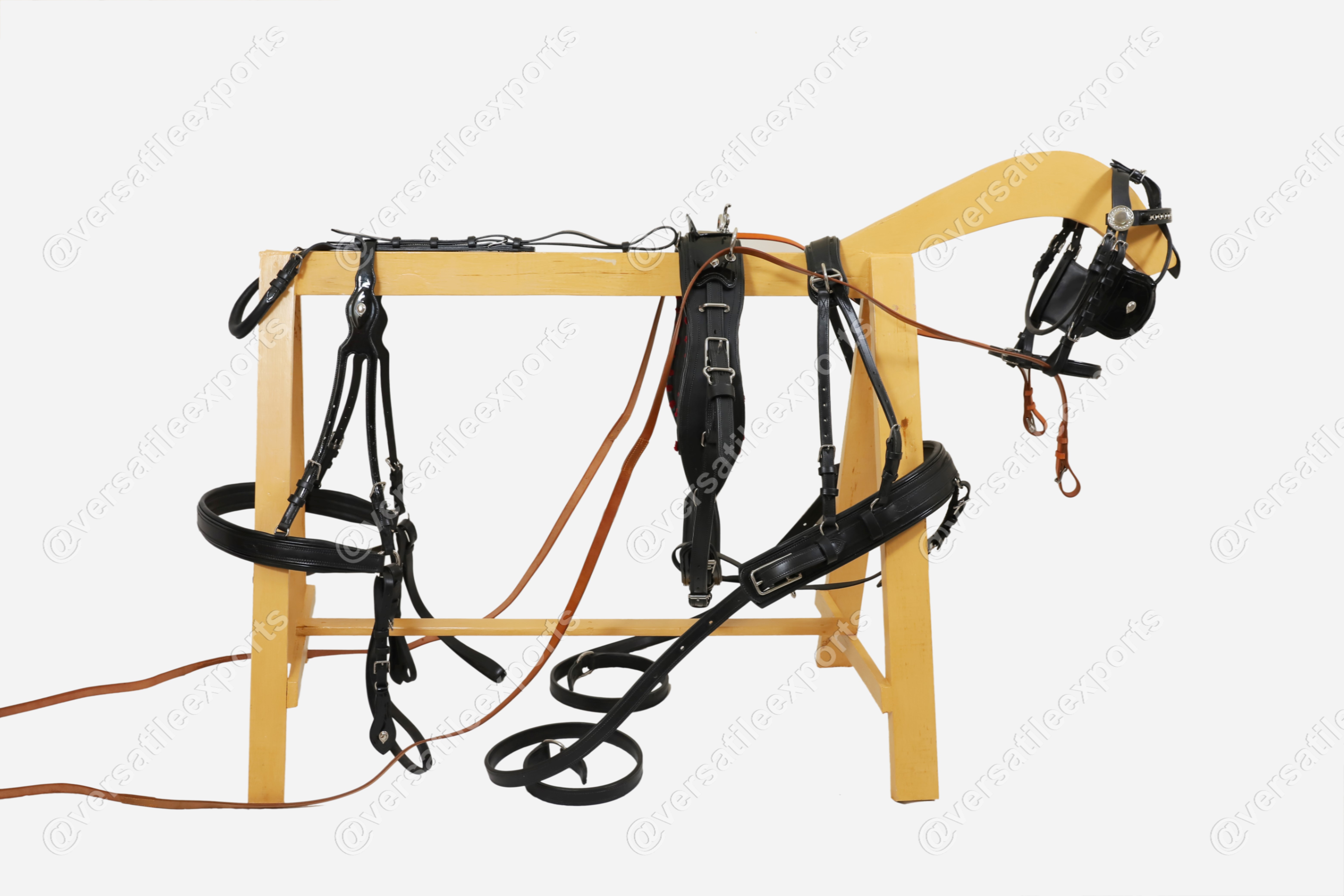 Presentation Harness